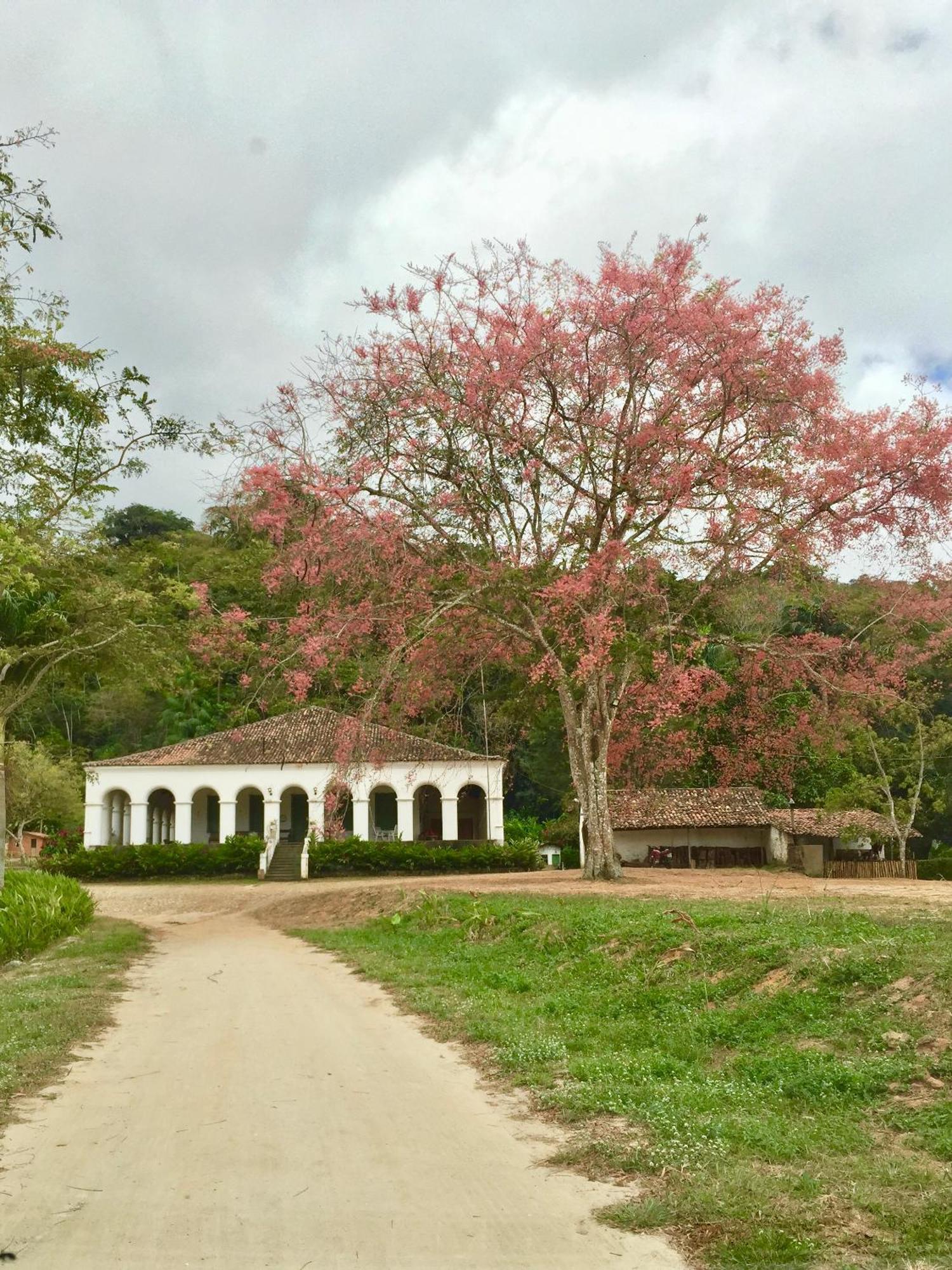 Chale Suico - Chales Belo Monte - Sitio Belo Monte Pacoti Exterior photo